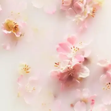 Coffret The Ritual of Sakura Mousse de Douche, Gommage & Crème Corps  - Rituals - Soin - Visuel 2