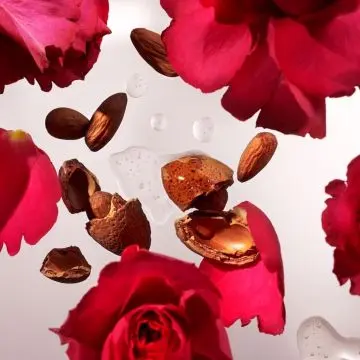Coffret The Ritual of Ayurveda Mousse de Douche, Crème et Gommage Corps & Bougie  - Rituals - Soin - Visuel 3