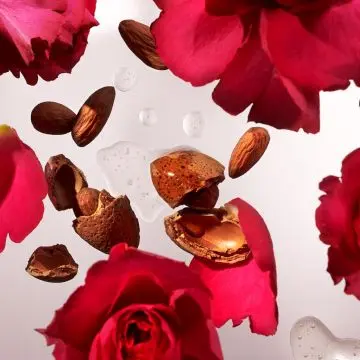 The Ritual of Ayurveda Mini Bâtonnets Parfumés 70ml - RITUALS - Accessoire - Visuel 4 The Ritual of Ayurveda Mini Bâtonnets Parfumés 70ml - RITUALS - Accessoire - Visuel 4