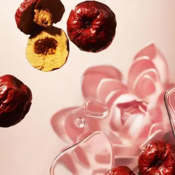 The Ritual of Jing Bâtonnets Parfumés 250ml - RITUALS - Accessoire - Visuel 4