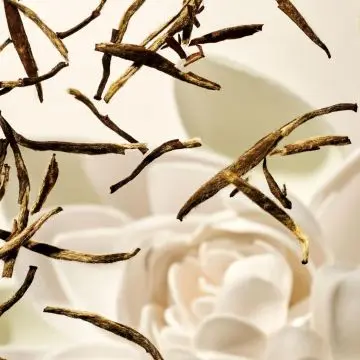 The Ritual of Karma Bâtonnets Parfumés 250ml - RITUALS - Accessoire - Visuel 4