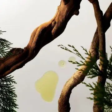 Rituals Homme Diffuseur Voiture 6g - RITUALS - Accessoire - Visuel 4