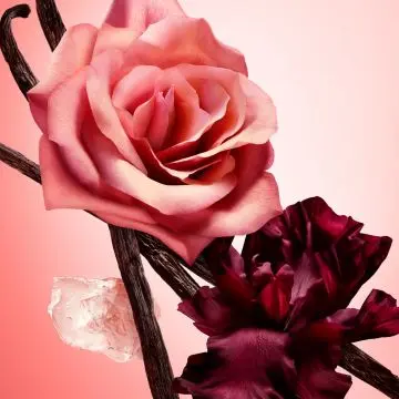 All Of Me Recharge Eau de Parfum Intense 150ml - Narciso Rodriguez - Parfum - Visuel 2