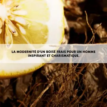 L'HOMME Eau de Toilette Vaporisateur 100ml - Yves Saint Laurent - Parfum - Visuel 3