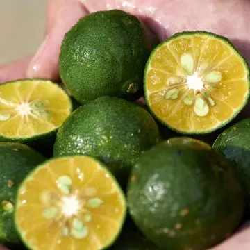 Waso Soin Correcteur Teint Non Gras SPF30 50ml - Shiseido - Soin - Visuel 2 Waso Soin Correcteur Teint Non Gras SPF30 50ml - Shiseido - Soin - Visuel 2