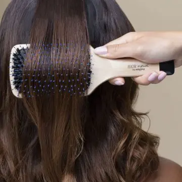 La Brosse de Poche Brillance & Douceur  - HAIR RITUEL BY SISLEY - Accessoire - Visuel 2