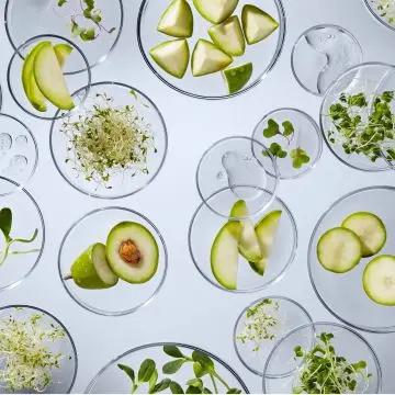 Sérum Tenseur et Correcteur Visage Raffermissant 50ml - Strivectin - Soin - Visuel 2