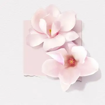 Magnolia Eau de Parfum 15ml - Solinotes - Parfum - Visuel 3