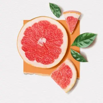 POMELO Eau de Parfum 15ml - Solinotes - Parfum - Visuel 2