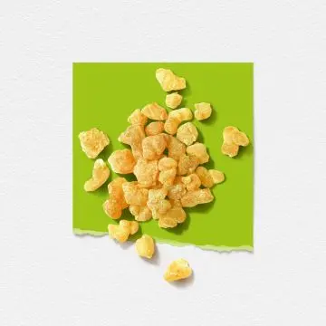 Musc   Eau de Parfum 50ml - Solinotes - Parfum - Visuel 3