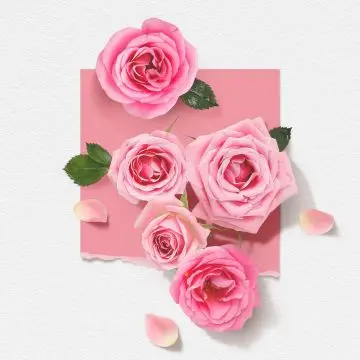 Rose Eau de Parfum 50ml - Solinotes - Parfum - Visuel 3