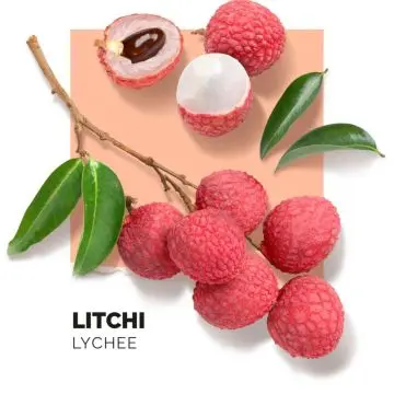 Litchi Brume Corps & Cheveux 180ml - Solinotes - Soin - Visuel 3