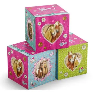 Calendrier de l'Avent I Love Horses  - Tentation - Soin - Visuel 2