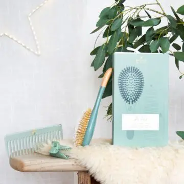 Coffret Trio Eucalyptus Brillance Brosse Démêlage et Brillance, Peigne & Pince  - Bachca - Accessoire - Visuel 3 Coffret Trio Eucalyptus Brillance Brosse Démêlage et Brillance, Peigne & Pince  - Bachca - Accessoire - Visuel 3