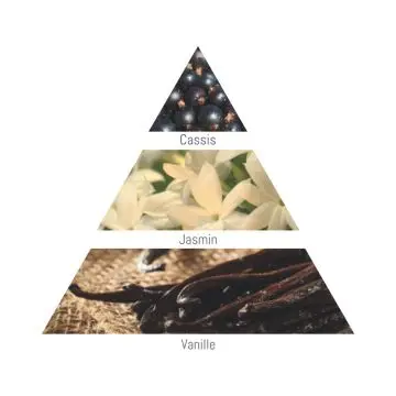 Charme Envoutant Eau de Parfum 20ml   - Beauty Success - Parfum - Visuel 2 Charme Envoutant Eau de Parfum 20ml   - Beauty Success - Parfum - Visuel 2