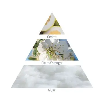 Lumière Précieuse Eau de Parfum 20ml   - Beauty Success - Parfum - Visuel 2 Lumière Précieuse Eau de Parfum 20ml   - Beauty Success - Parfum - Visuel 2