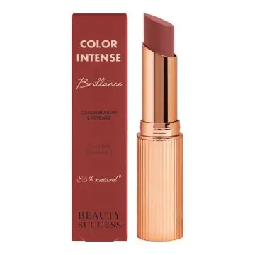 Color Intense Brillance Rouge à Lèvres Choco Passion n°06 - Beauty Success - Maquillage - Visuel 1