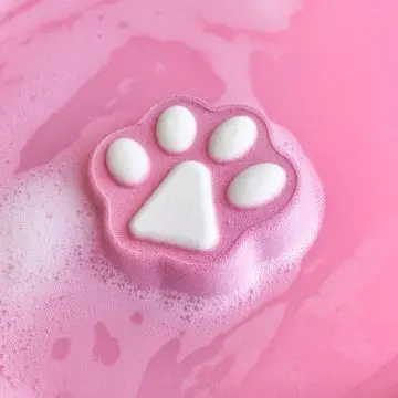 Coffret Fizzy Kitty Bombes de Bain Effervescentes  - Inuwet - Soin - Visuel 2