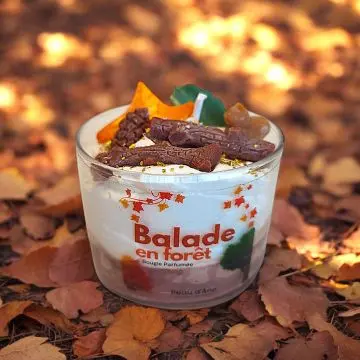 Balade en Forêt Bougie Parfumée à la Cire de Soja  - Peau d'Ane - Accessoire - Visuel 2 Balade en Forêt Bougie Parfumée à la Cire de Soja  - Peau d'Ane - Accessoire - Visuel 2