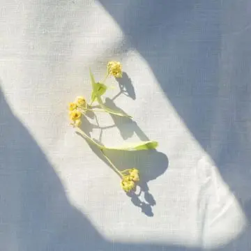 L'Eau qui Enlace Eau de Toilette Vaporisateur 100ml - TiL - Parfum - Visuel 3