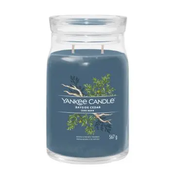 Cèdre Marin Bougie Parfumée 567g - Yankee Candle - Accessoire - Visuel 1