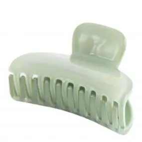 Petite Pince Vert d'Eau 