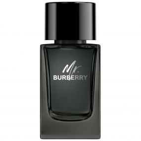 Mr. Burberry Eau de Parfum 