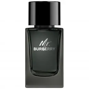 Mr. Burberry Eau de Parfum 