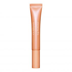 LIP PERFECTOR Embellisseur Lèvres Glow Gloss Lèvres et Joues 