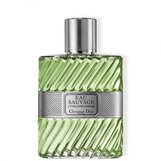 Mens dior sauvage 100ml on sale