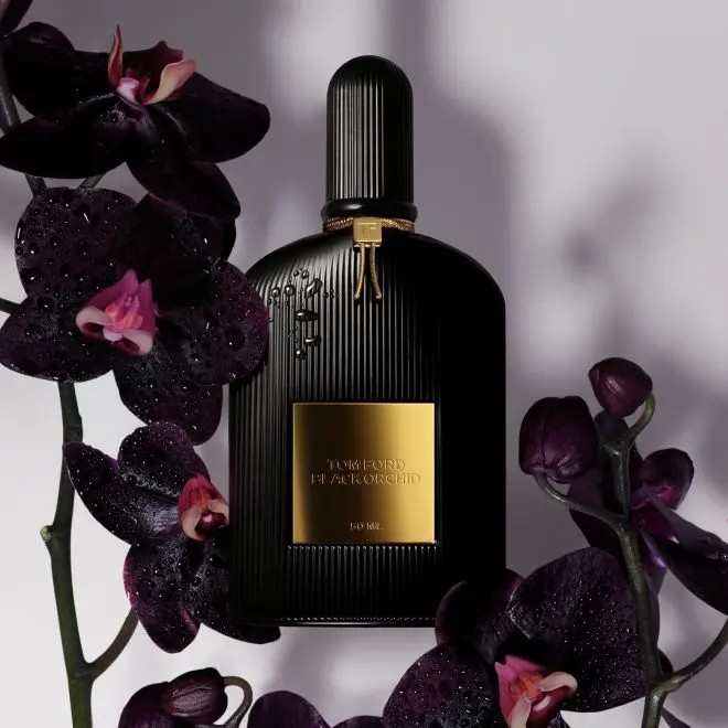 Tom Ford Black Orchid Eau de Parfum Nouveautes Beauty Success