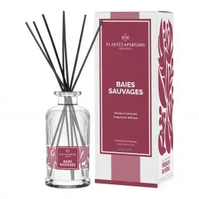 Baies Sauvages 200ml - PLANTES & PARFUMS - Accessoire - Visuel 1