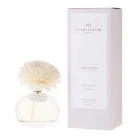 Fleur de Coton 100ml - PLANTES & PARFUMS - Accessoire - Visuel 1