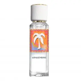 Gingembre Eau Parfumée Bienfaisante 30ml