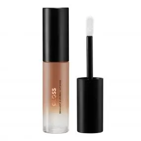 Lip Shine Brillant à Lèvres 