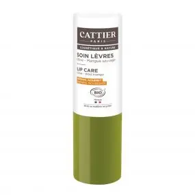 Soin Lèvres Olive - Mangue Sauvage 4g