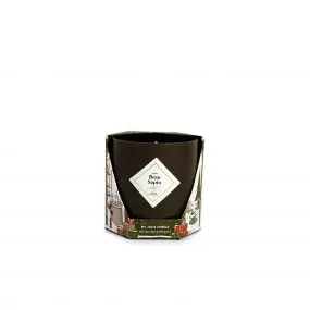 Bougie bijou - Mon beau sapin Parfum Pin, Santal & Mousse Végétale Bracelet gold epoxy noires