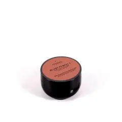 Blush perfect Blush 040 PÊCHE DORE