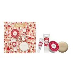 Coffret La Véritable Crème de Laponie 4 soins aux Baies Arctiques Crème Visage 50ml + Crème Mains 25ml + Baume Lèvres 10ml + Savon 100g