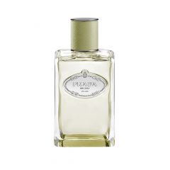 Infusion de Vétiver Eau de parfum  Vaporisateur 100ml