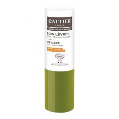 Soin Lèvres Olive - Mangue Sauvage 4g