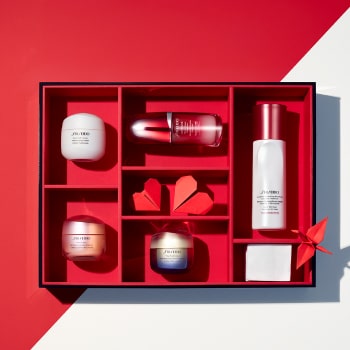 Shiseido Soin Visage