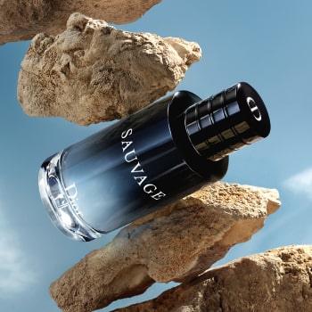 Parfums Homme DIOR