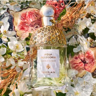 Aqua Allegoria Nerolia Vetiver - Guerlain